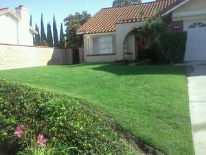 {{ custom_values.service_1 }} in {{custom_values.area_5})