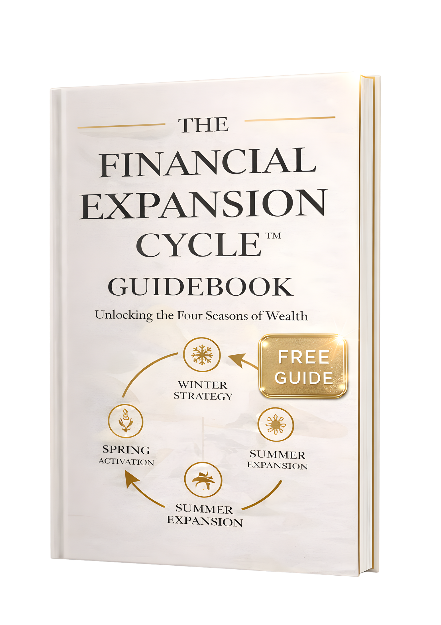 Financial Expansion Cycle