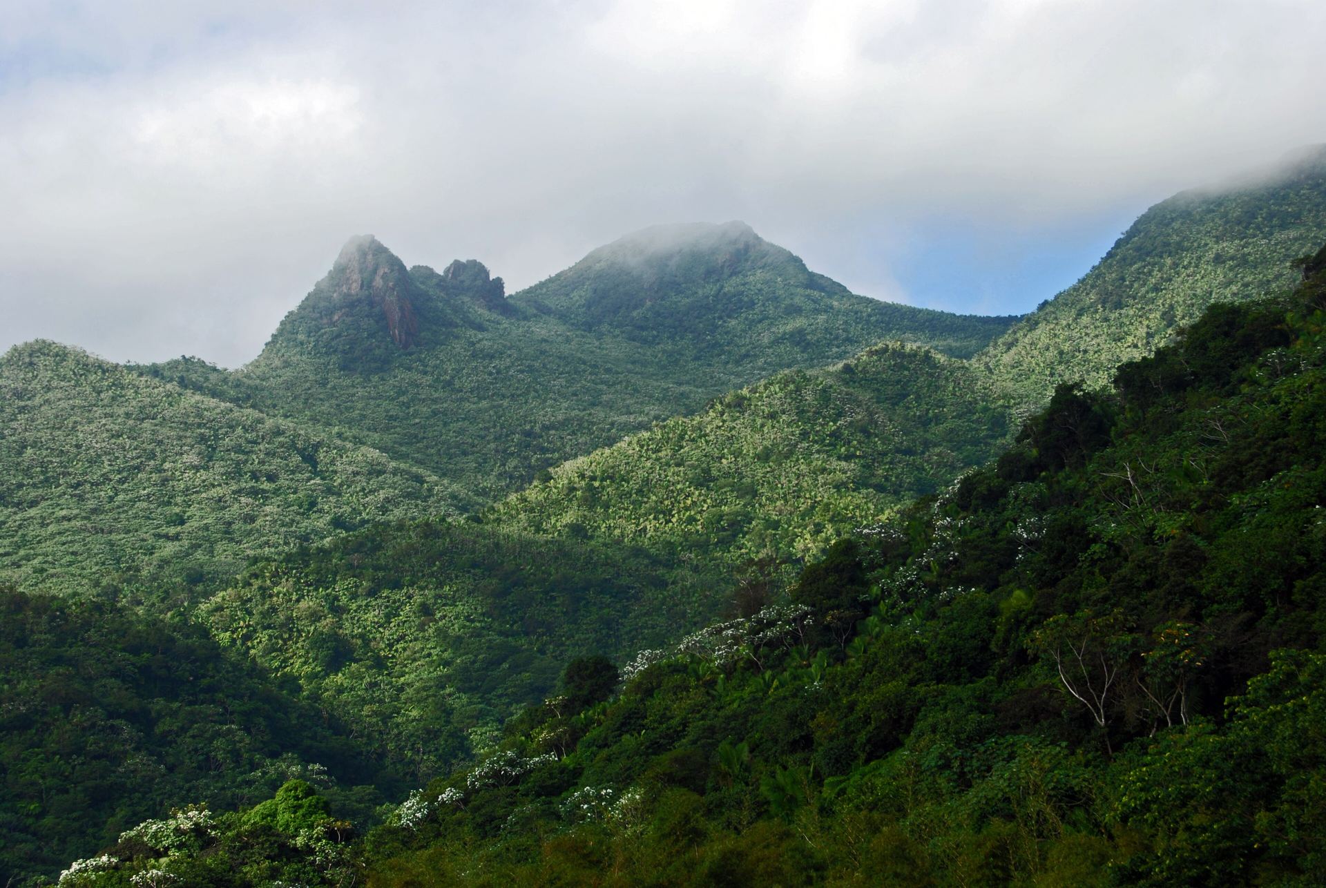 El Yunque interior