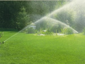 Irrigation Maintenance in 