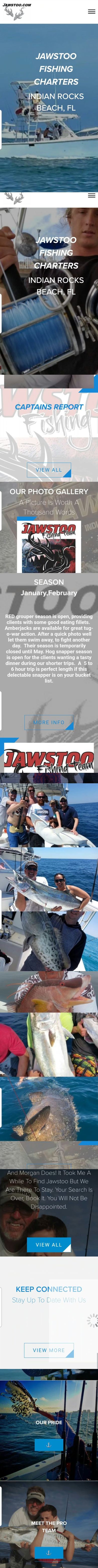 JawsToo website scrolling preview