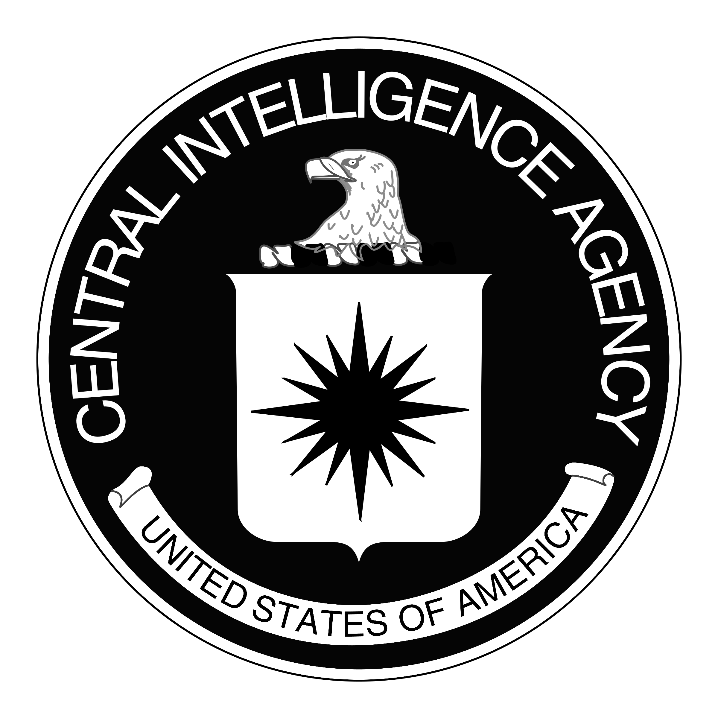 Declassified CIA report