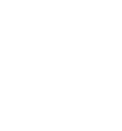 Vicelle Naturals logo — Lead Leap Marketer client