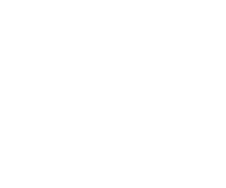 Triton Growth logo — Lead Leap Marketer client