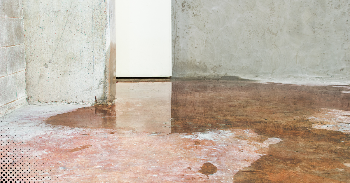 Water pooling on a basement floor near a concrete wall