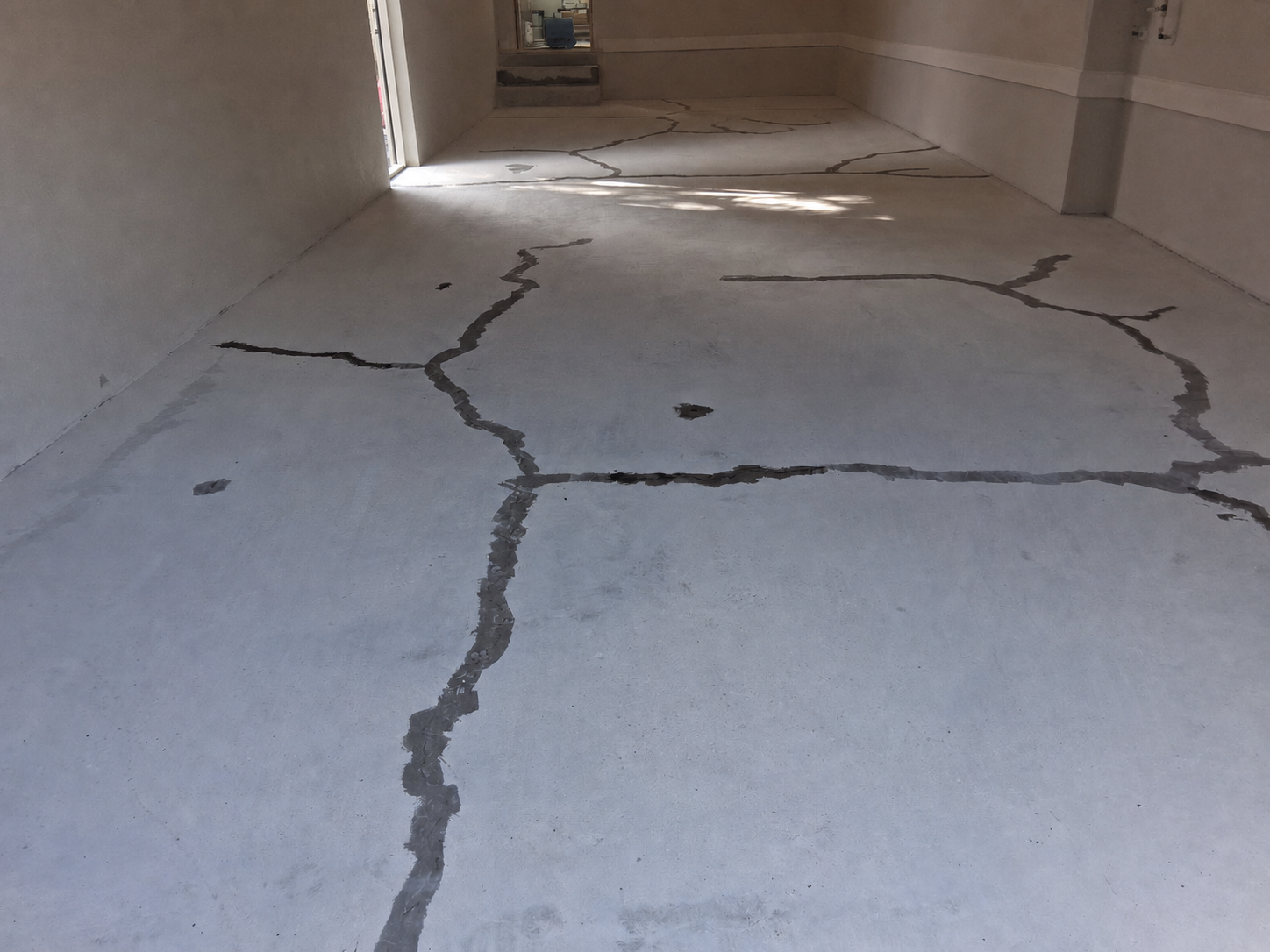 Before epoxy flake floor