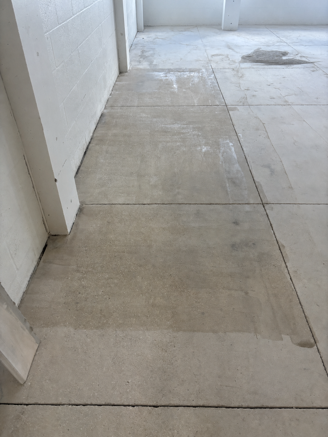 Before epoxy flake floor