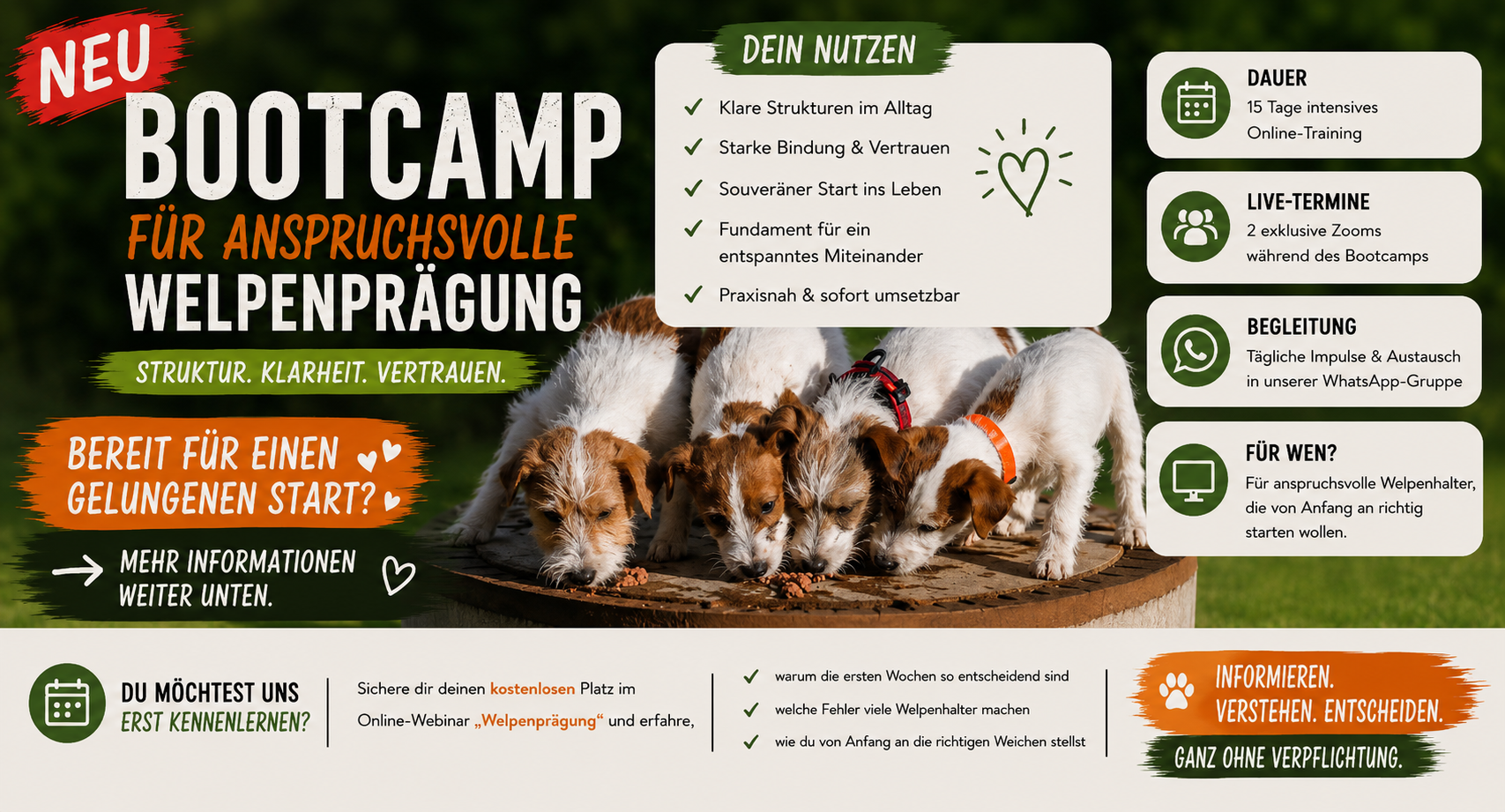 Welpen-Bootcamp Impression