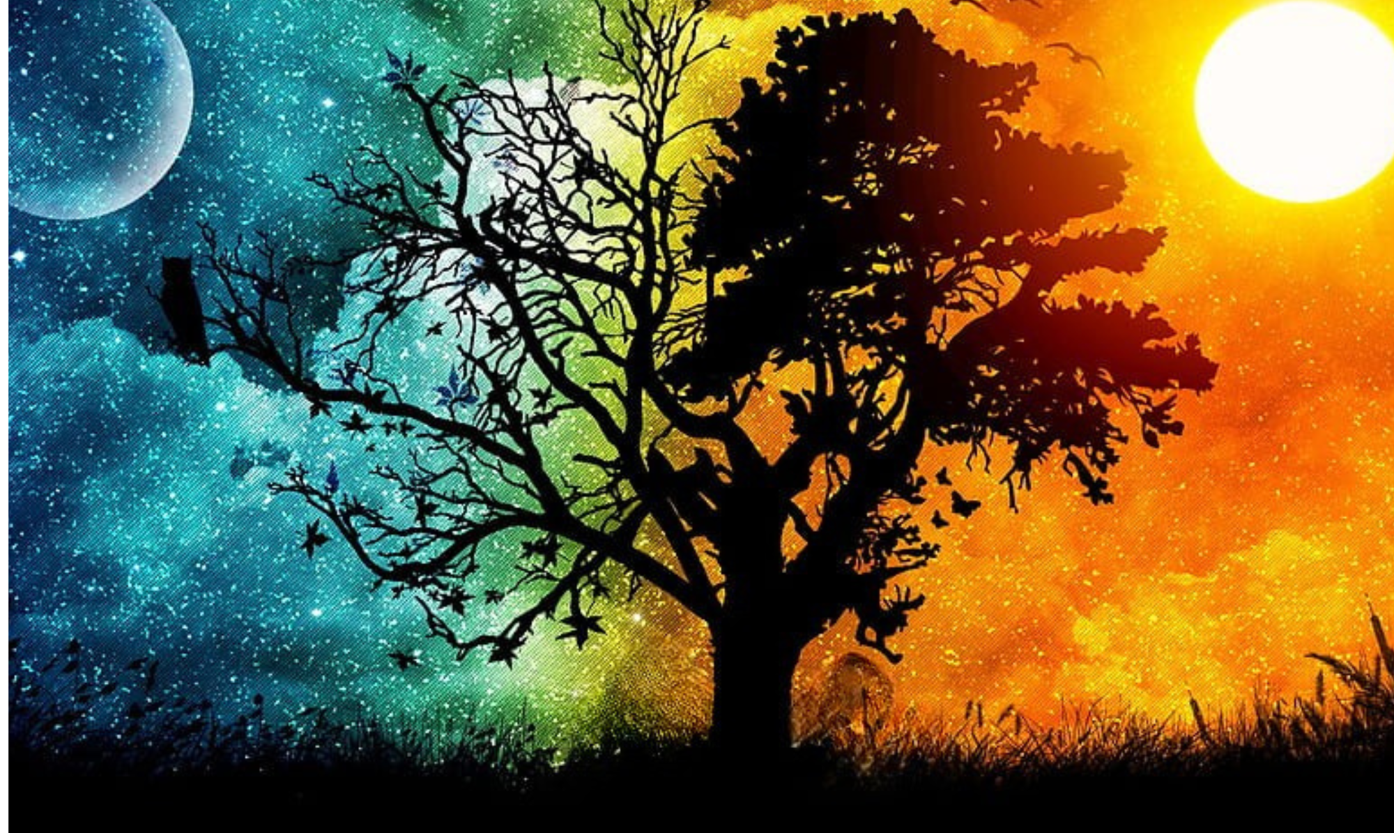 Why Environment Matters More Than You Think in Cannabis Experiences