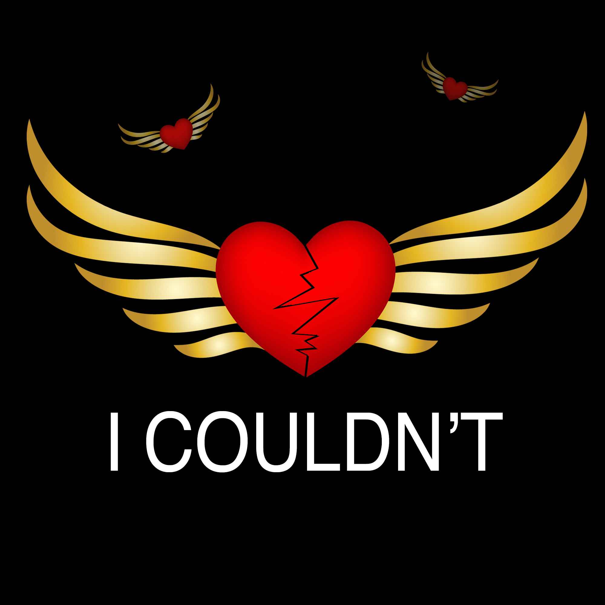 I Couldn't