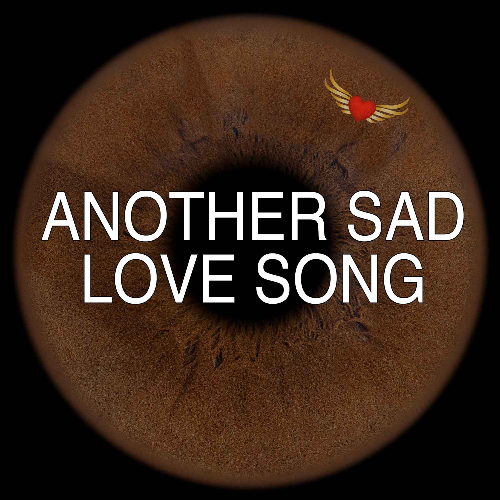 Another Sad Love Song