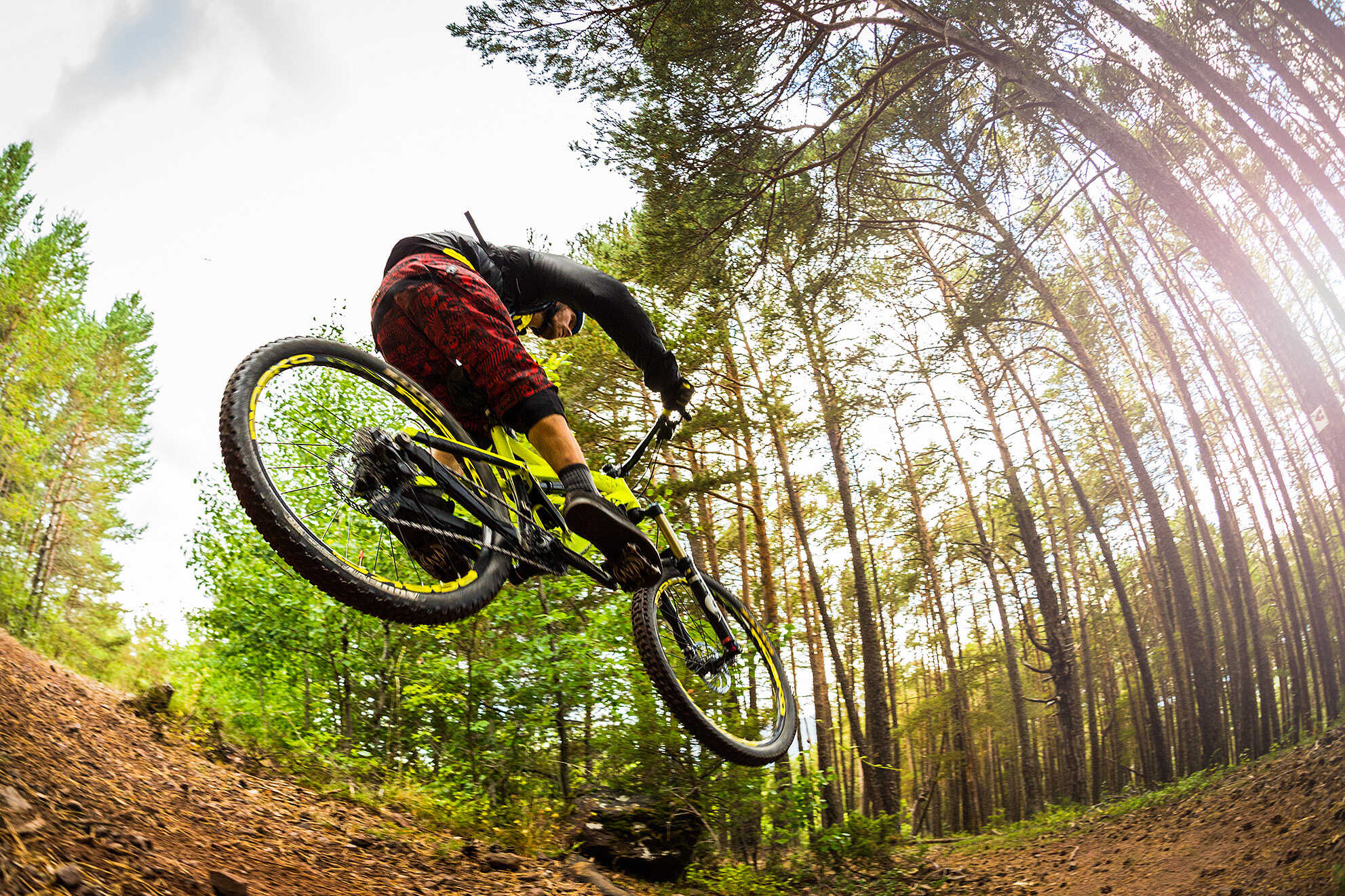 Mundo BTT 6