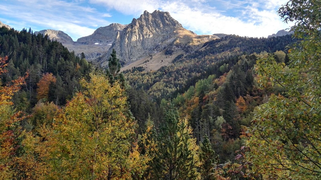 Media Montaña