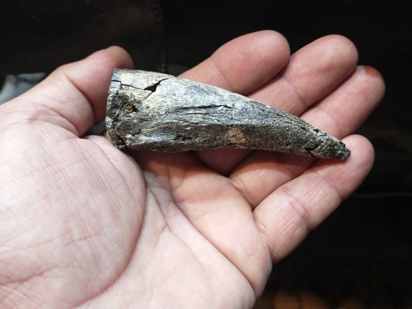 UNA GARRA PREHISTÓRICA UNA GARRA PREHISTÓRICA