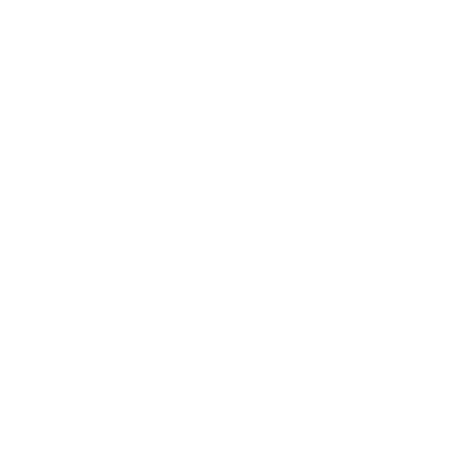 elektriker service icon