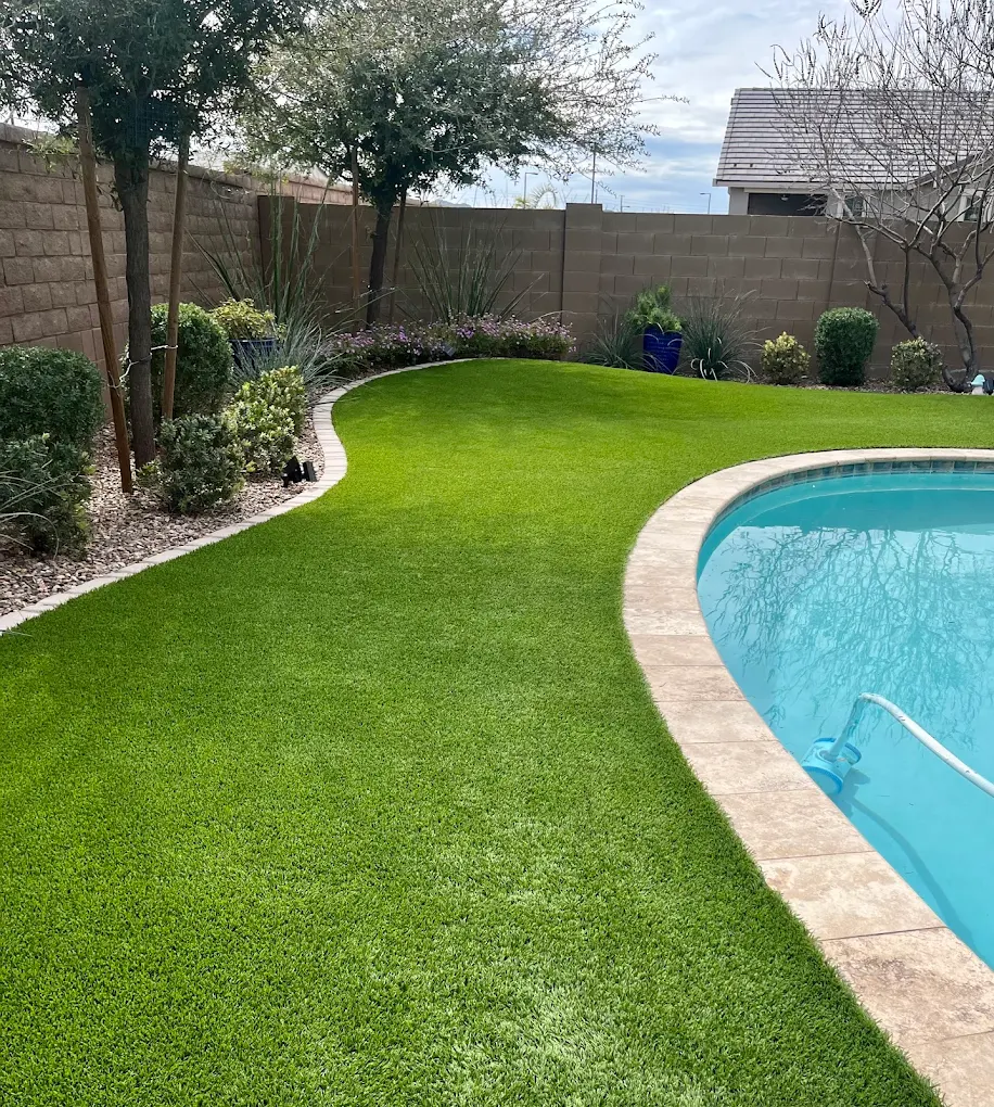 A curving artificial grass lawn bordering a crystal-clear swimming pool with a stone coping edge, set against a landscaped backyard featuring trees, shrubs, and a tall block wall fence.