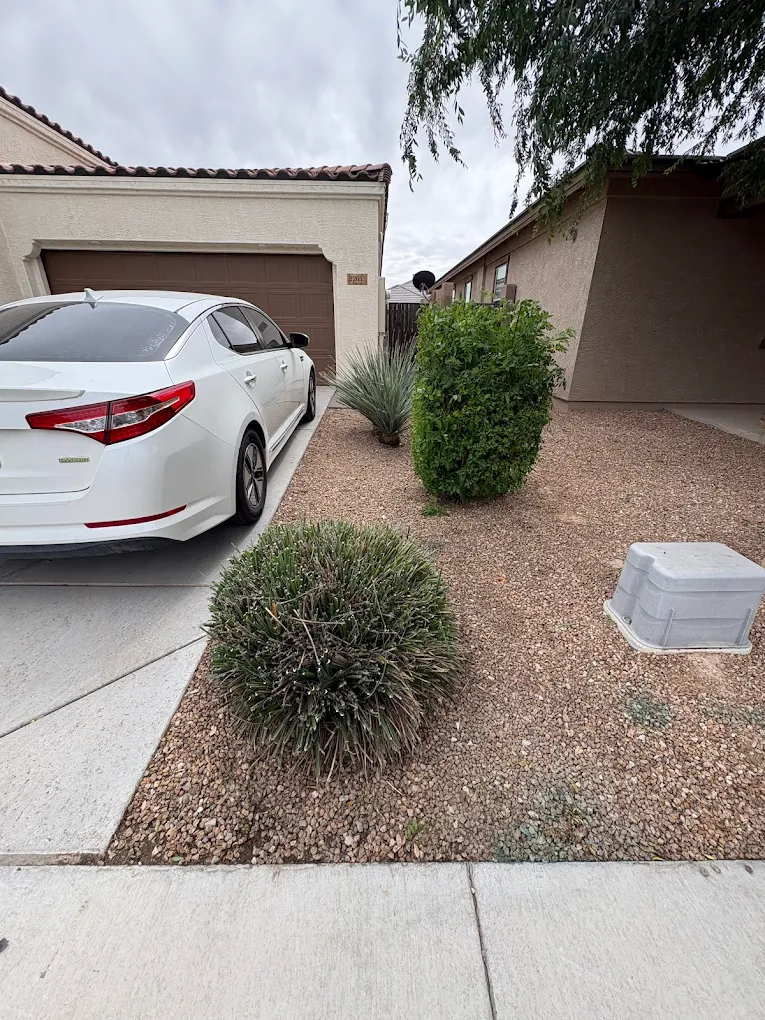 A front yard gravel landscape featuring trimmed shrubs, a spiky succulent plant, a utility box on the right, and a white sedan parked in the driveway under an overcast sky.