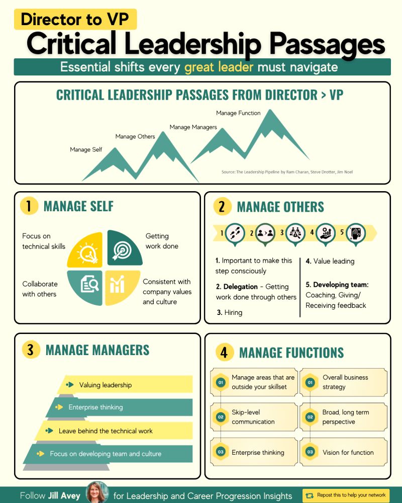 Infographic titled “Director to VP: Critical Leadership Passages” outlining the key leadership shifts required to move from Director to VP. It covers four stages: managing self, managing others, managing managers, and managing functions, with a focus on delegation, hiring, coaching, enterprise thinking, business strategy, long-term perspective, and developing teams and culture. Infographic titled “Director to VP: Critical Leadership Passages” outlining the key leadership shifts required to move from Director to VP. It covers four stages: managing self, managing others, managing managers, and managing functions, with a focus on delegation, hiring, coaching, enterprise thinking, business strategy, long-term perspective, and developing teams and culture.