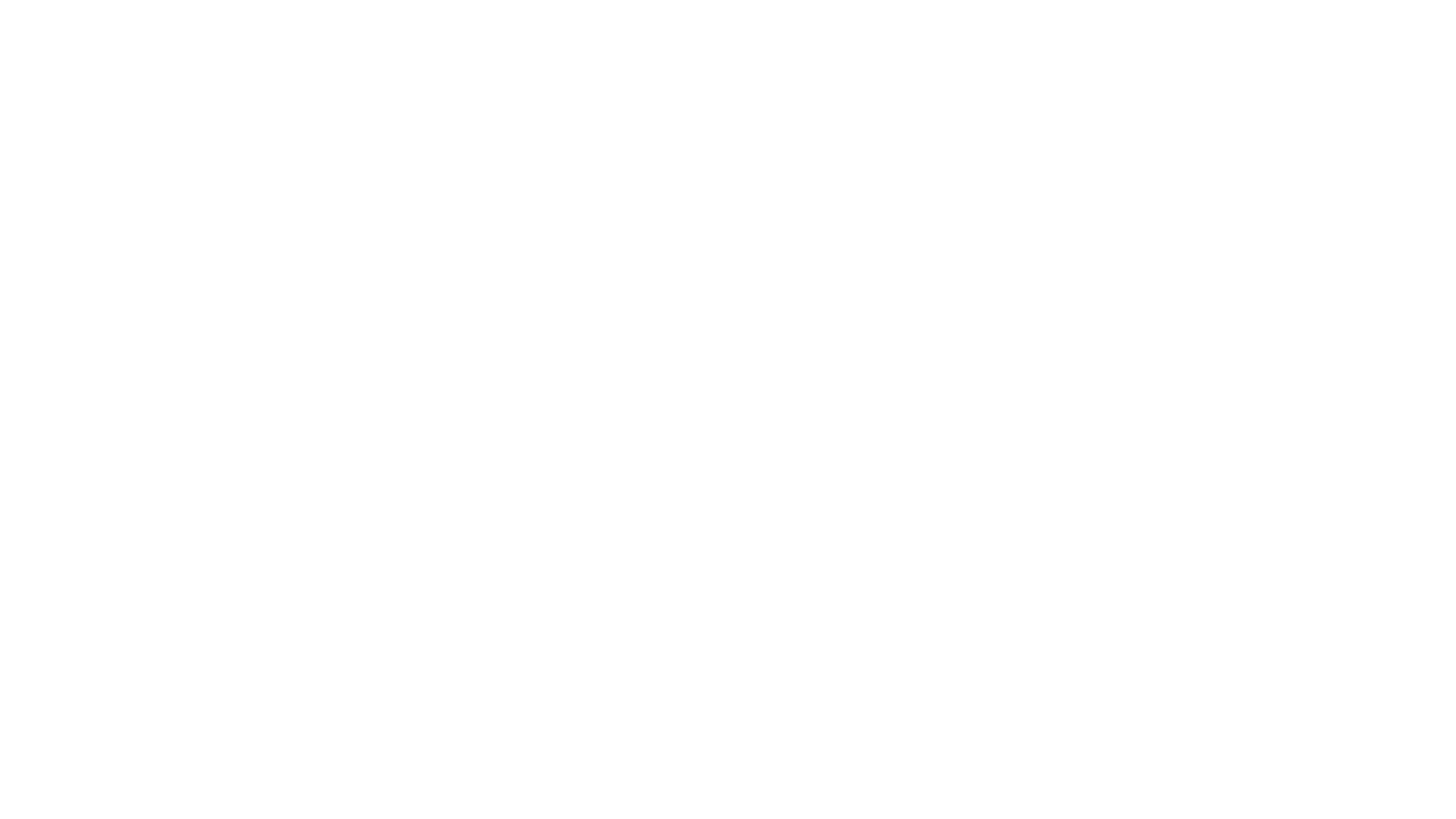 The Anderson Team