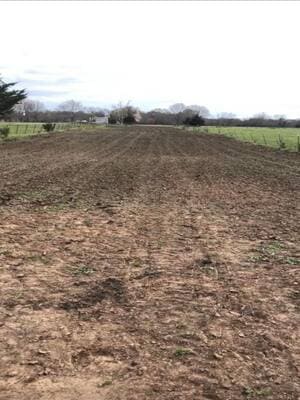 {{ custom_values.service_1 }} in {{custom_values.area_5})