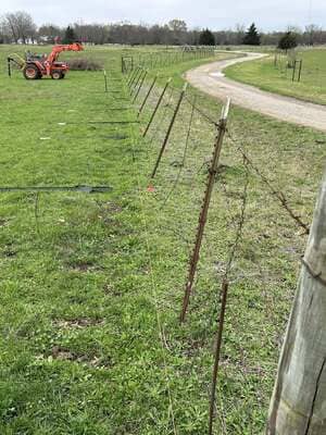 Code-compliance mowing in DFW