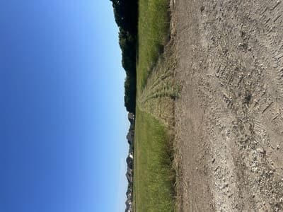 {{ custom_values.service_3 }} in {{custom_values.area_3})