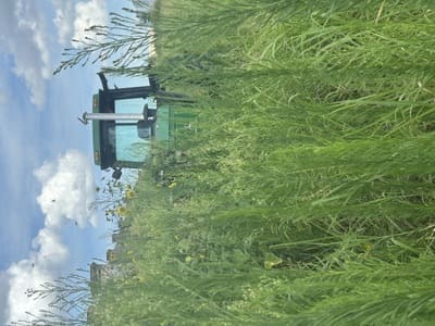 {{ custom_values.service_3 }} in {{custom_values.area_3})