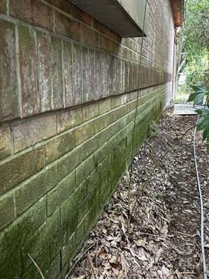 {{ custom_values.service_1 }} in {{custom_values.area_5})