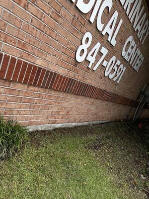 {{ custom_values.service_3 }} in {{custom_values.area_6})