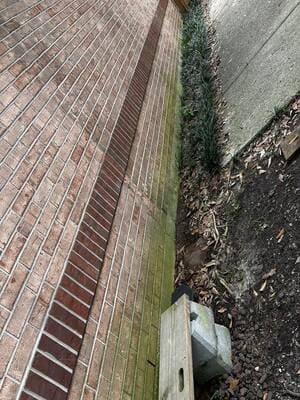 {{ custom_values.service_2 }} in {{custom_values.area_5})