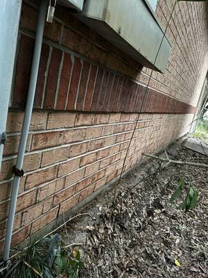 {{ custom_values.service_2 }} in {{custom_values.area_6})