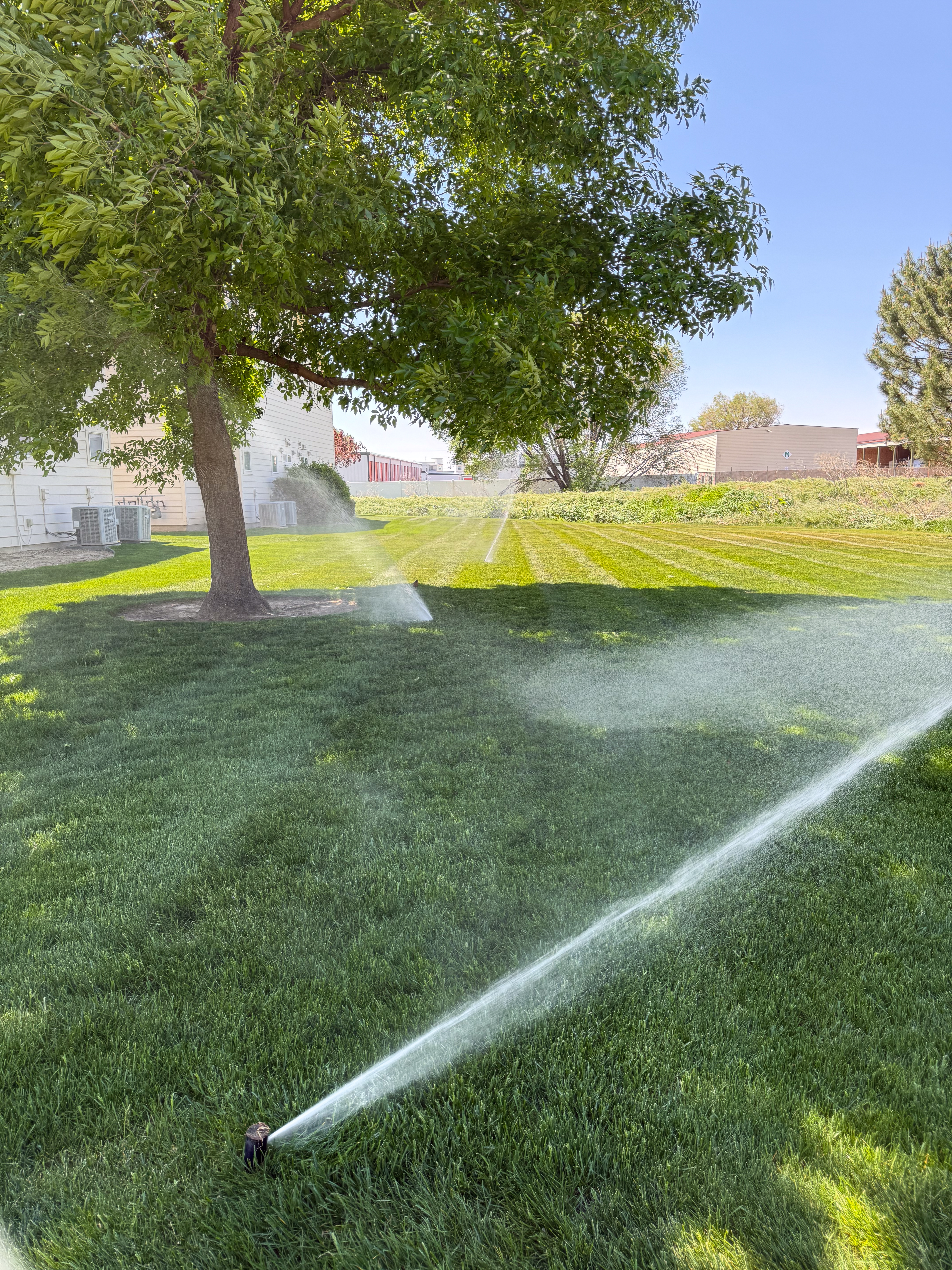 Irrigation Servicing & Blowouts