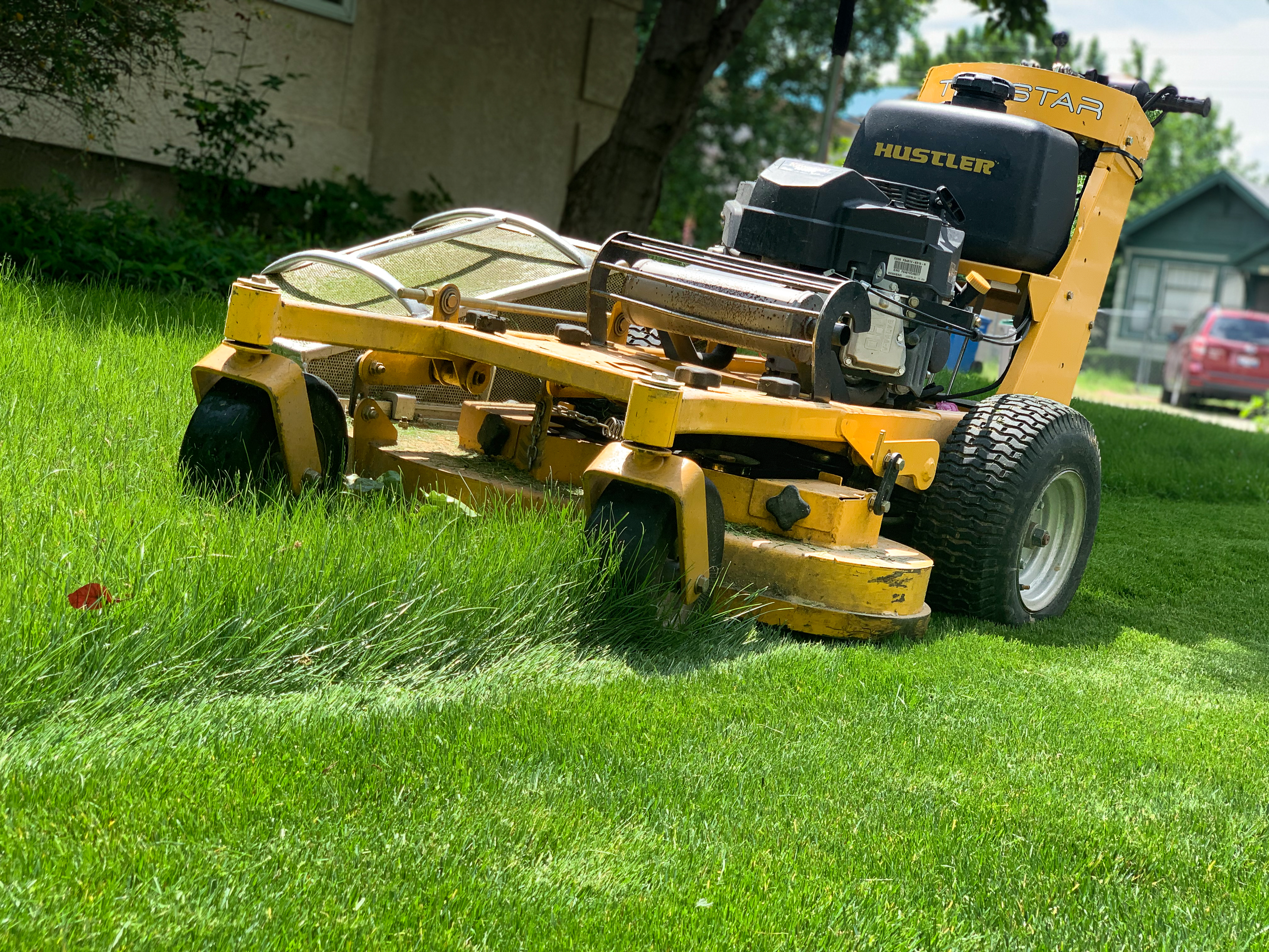 Professional Lawn Mowing & Turf Maintenance