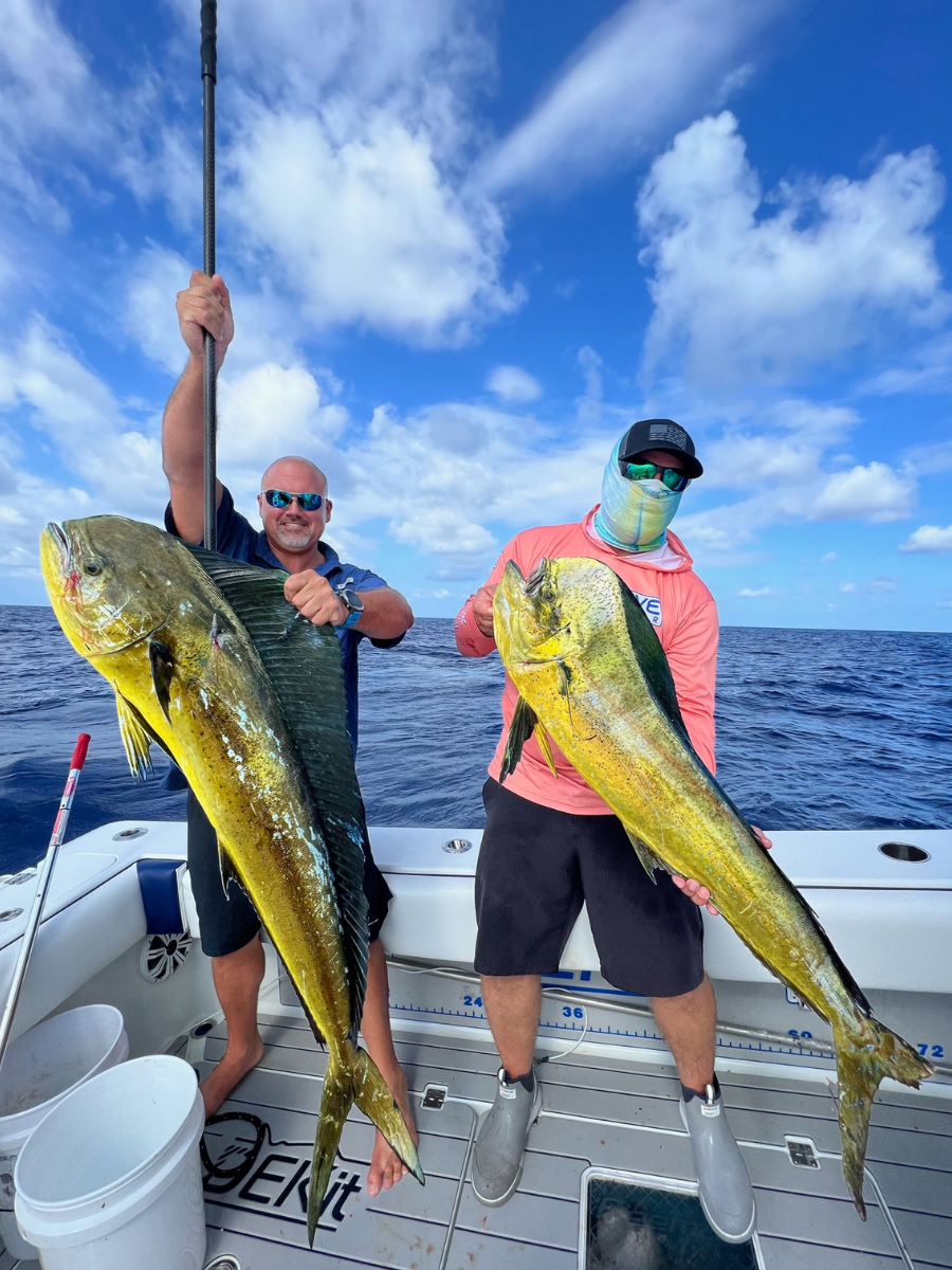 Catching mahi in the Florida Keys