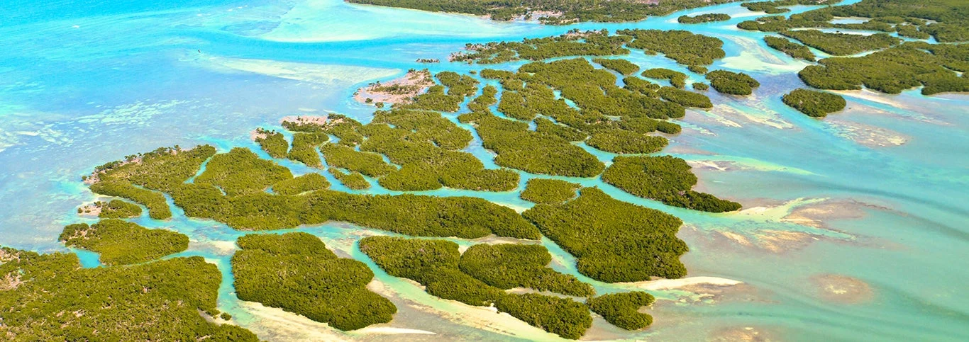 Aerial view of the Florida Keys