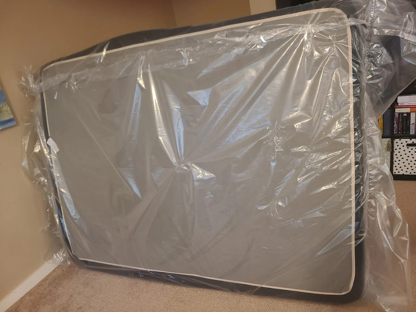 {{ custom_values.service_3 }} in {{custom_values.area_3})