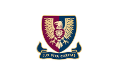 Eugene Visser business logo