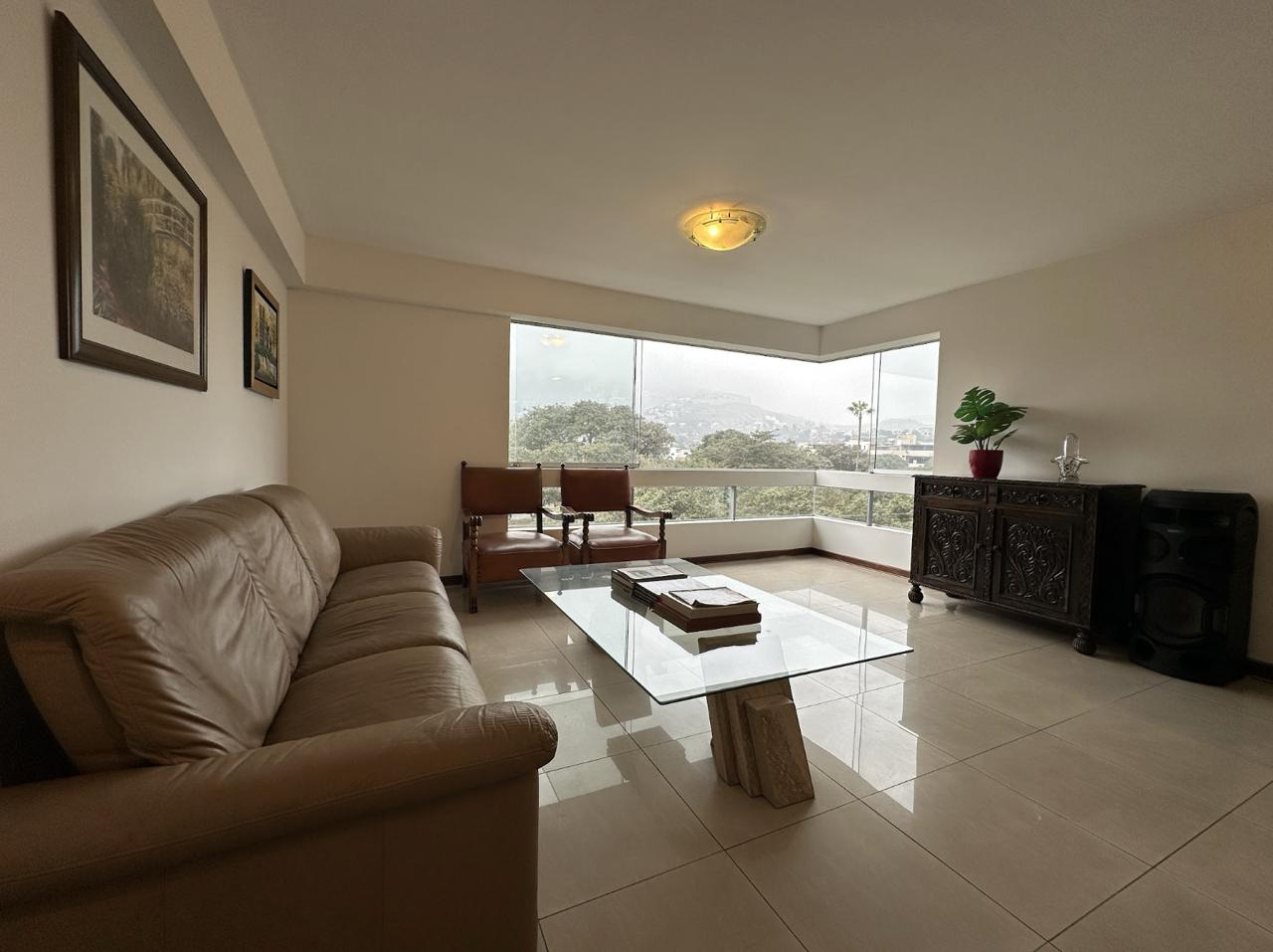 Sala departamento Buena Vista