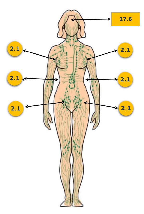 Lymph check points: head 17.6 and body 2.1