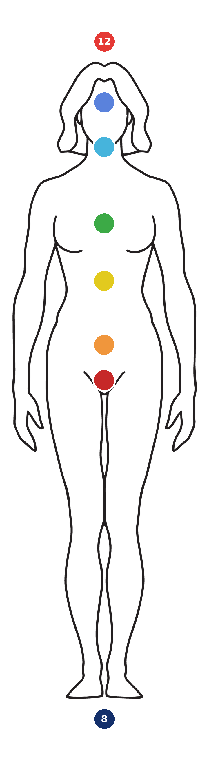 Body outline used for the 5.7 and 7.8 field readings