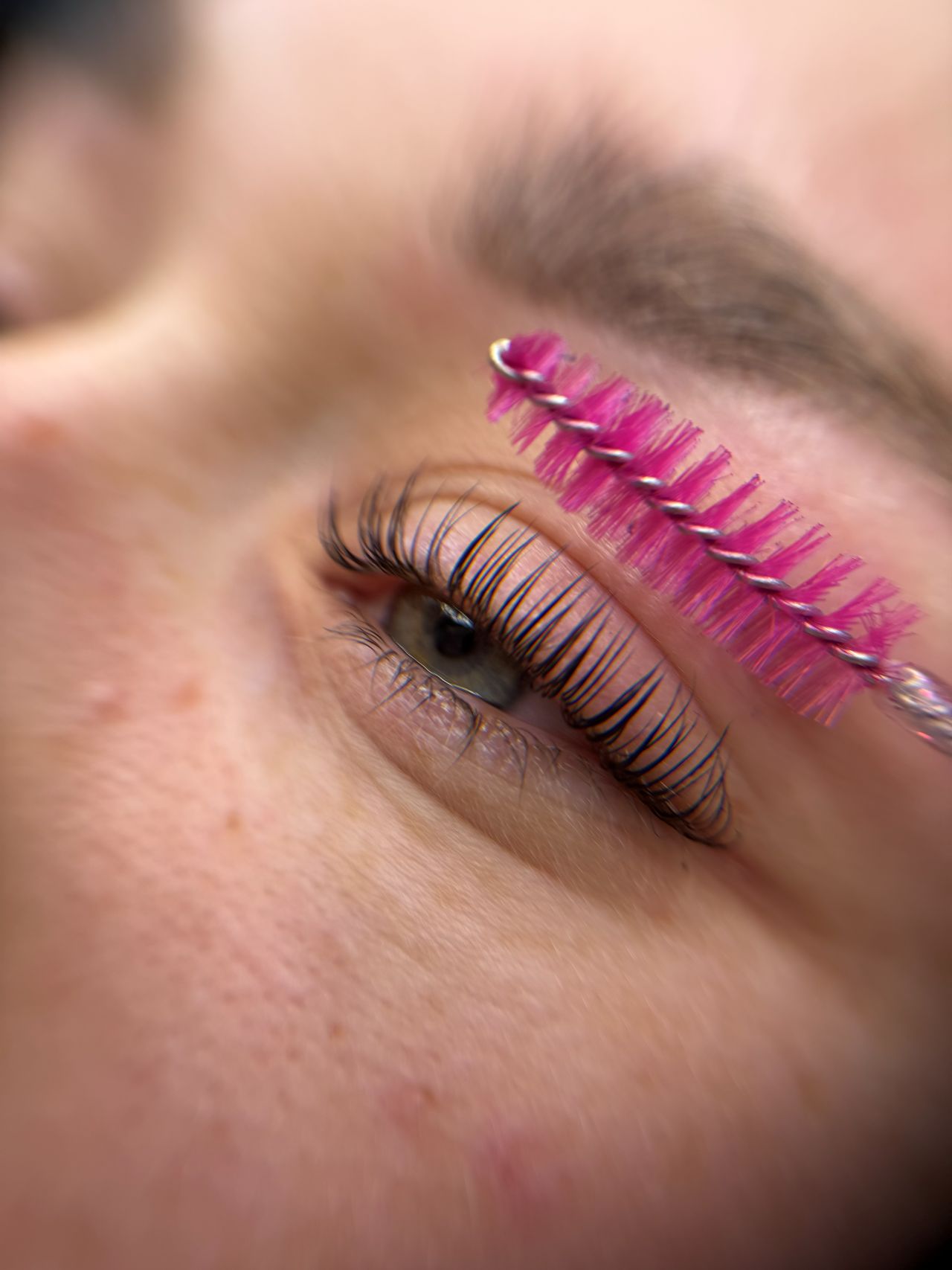 Lashes & Brows