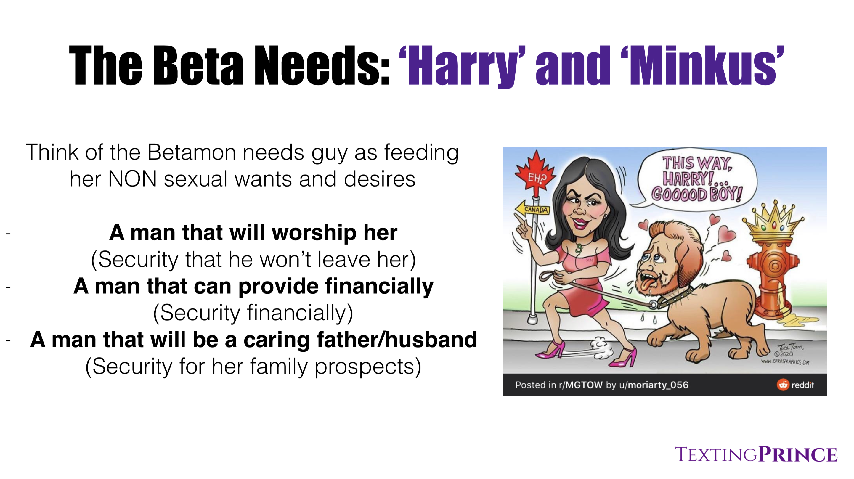 The Betamon Needs guy explained The Betamon Needs guy explained