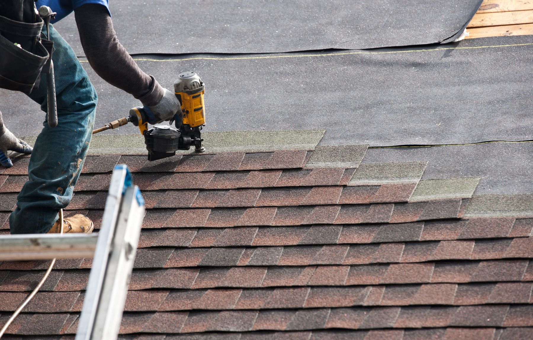 Is The Roof Treated Differently From the Other Three Systems? 
