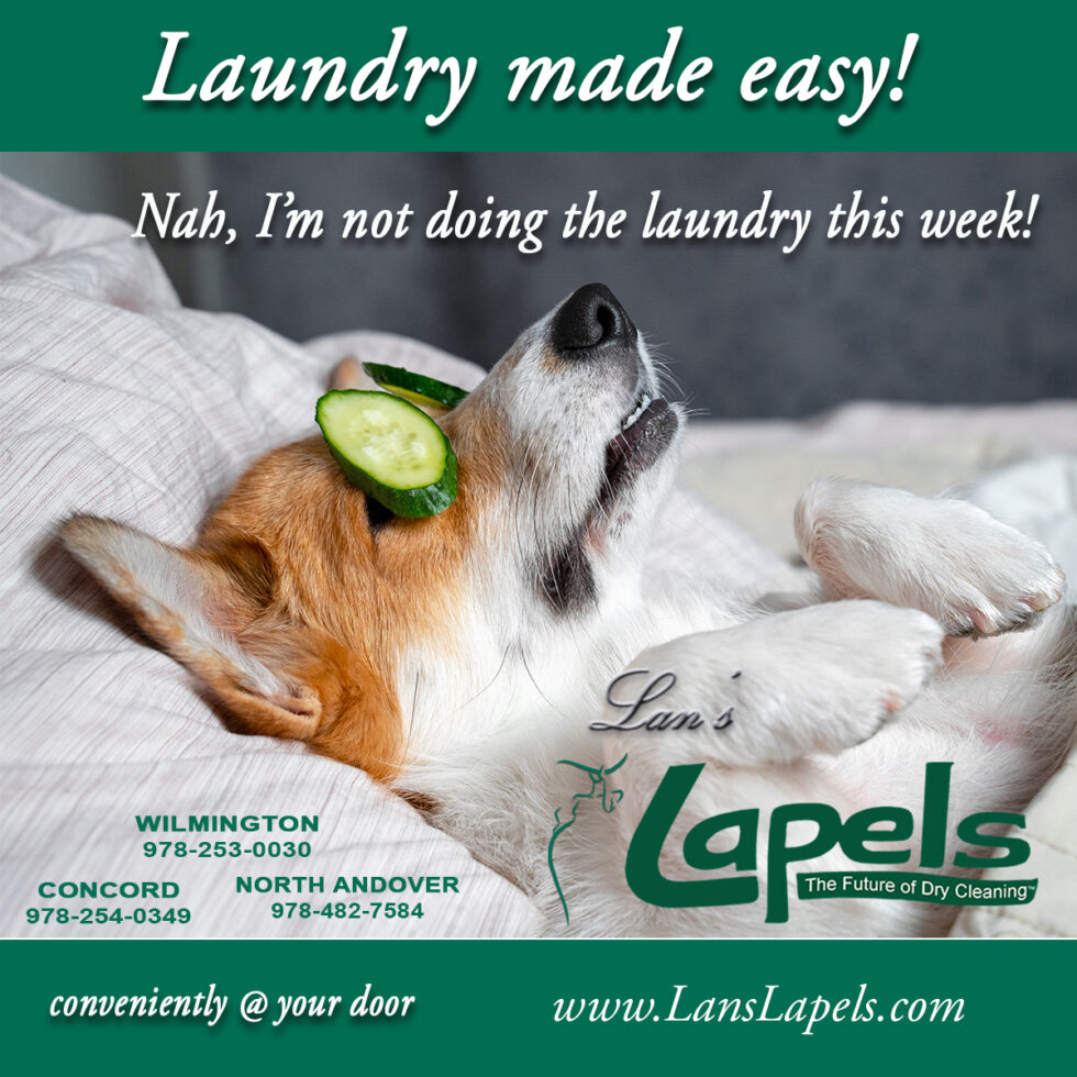 Lan's Lapels Cleaners - North Andover photo 8