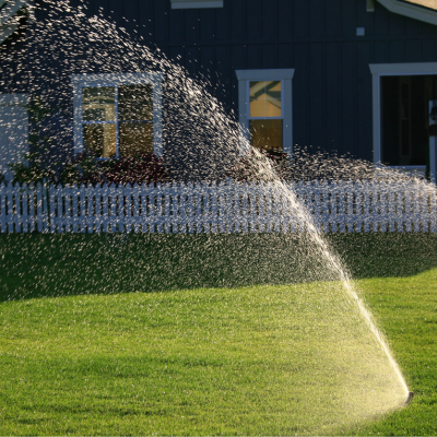 Property cleanups in Elk grove