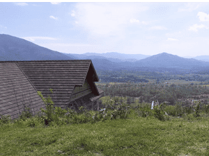 {{ custom_values.service_4 }} in {{custom_values.area_2})