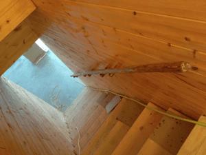 {{ custom_values.service_4 }} in {{custom_values.area_1})