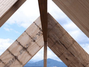 {{ custom_values.service_3 }} in {{custom_values.area_6})