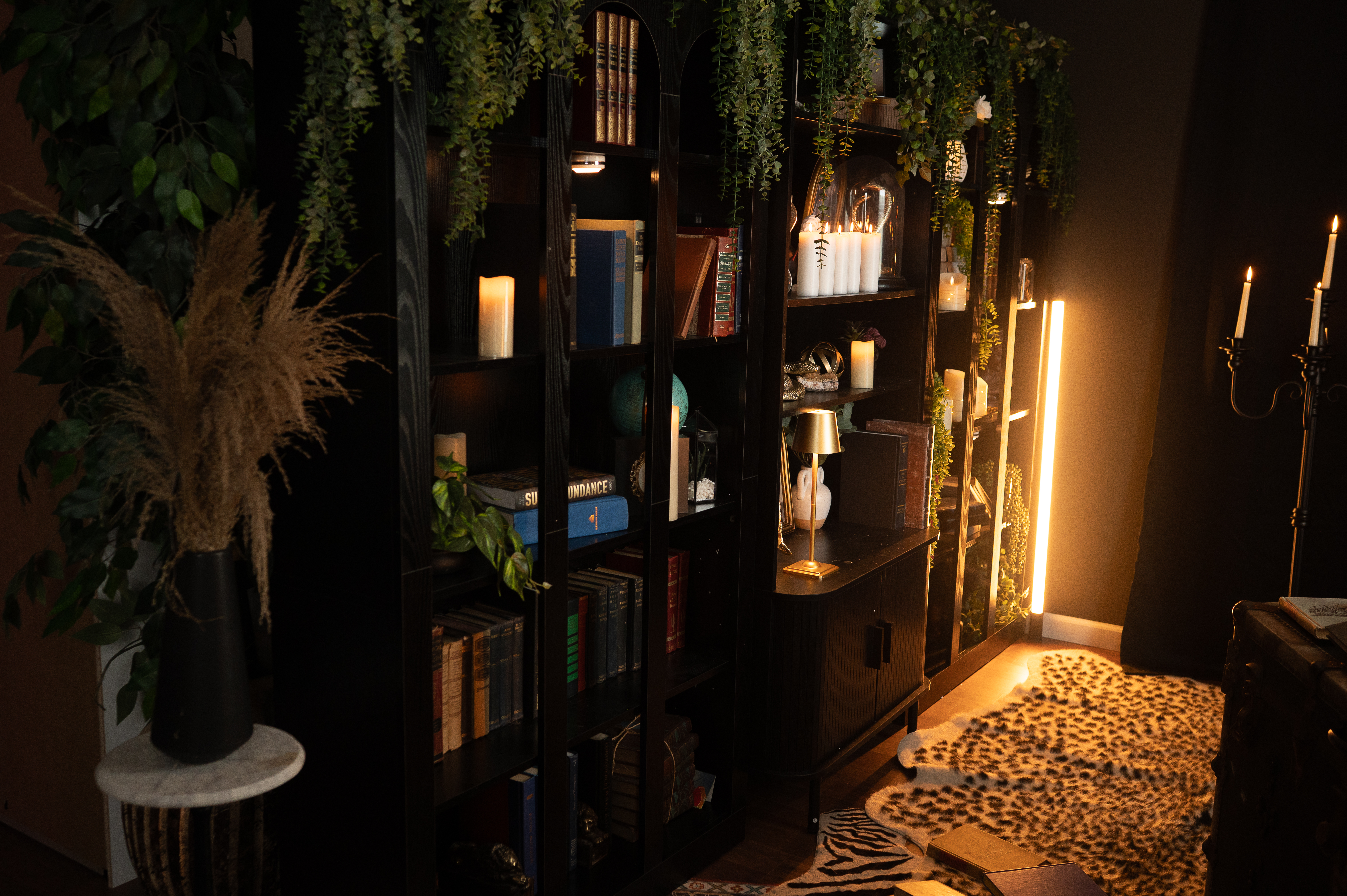 The studio interior and client closet