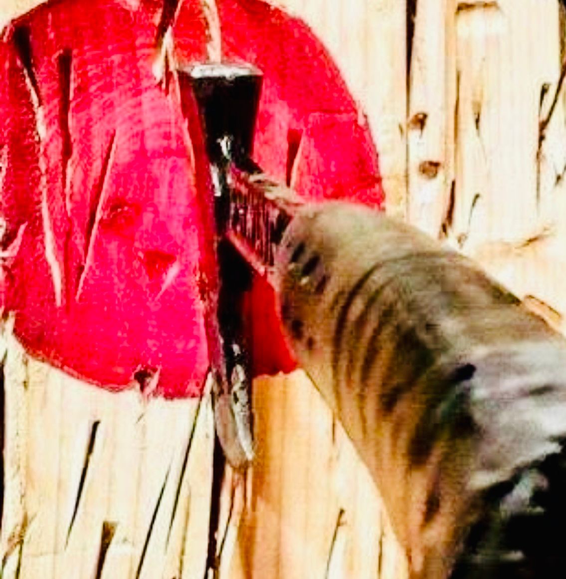 Authentic Axes